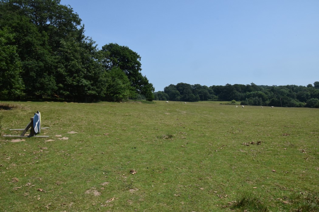 DSC_0995.jpg