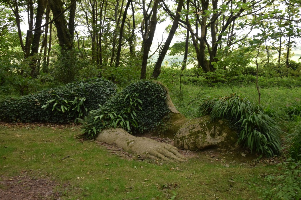 DSC_1012.jpg