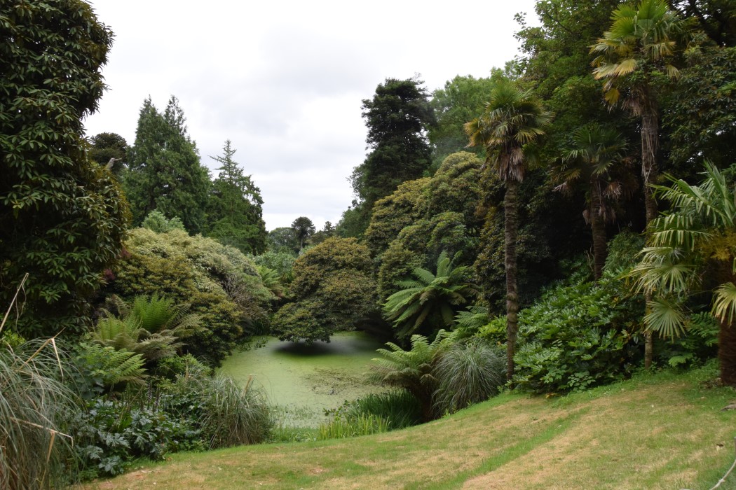 DSC_1015.jpg