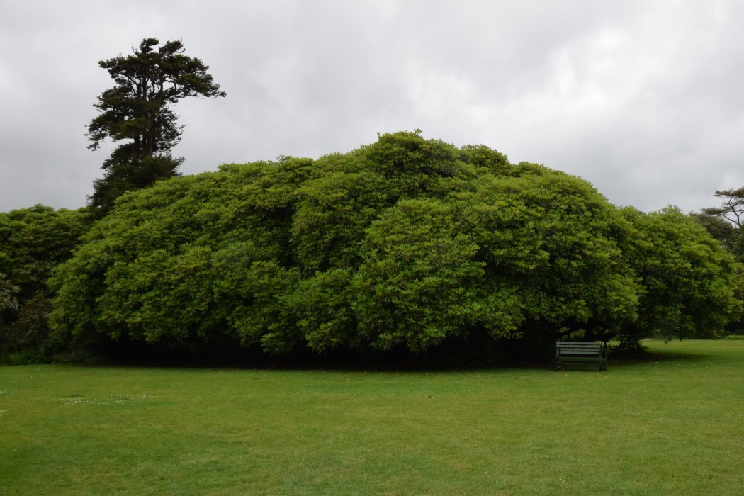 DSC_1051.jpg