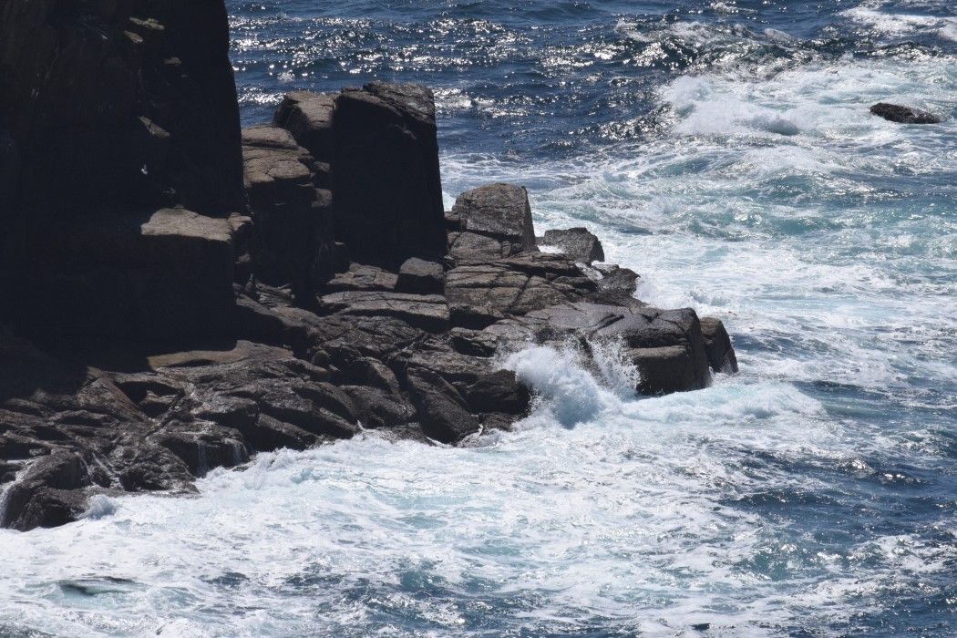 DSC_2023.jpg