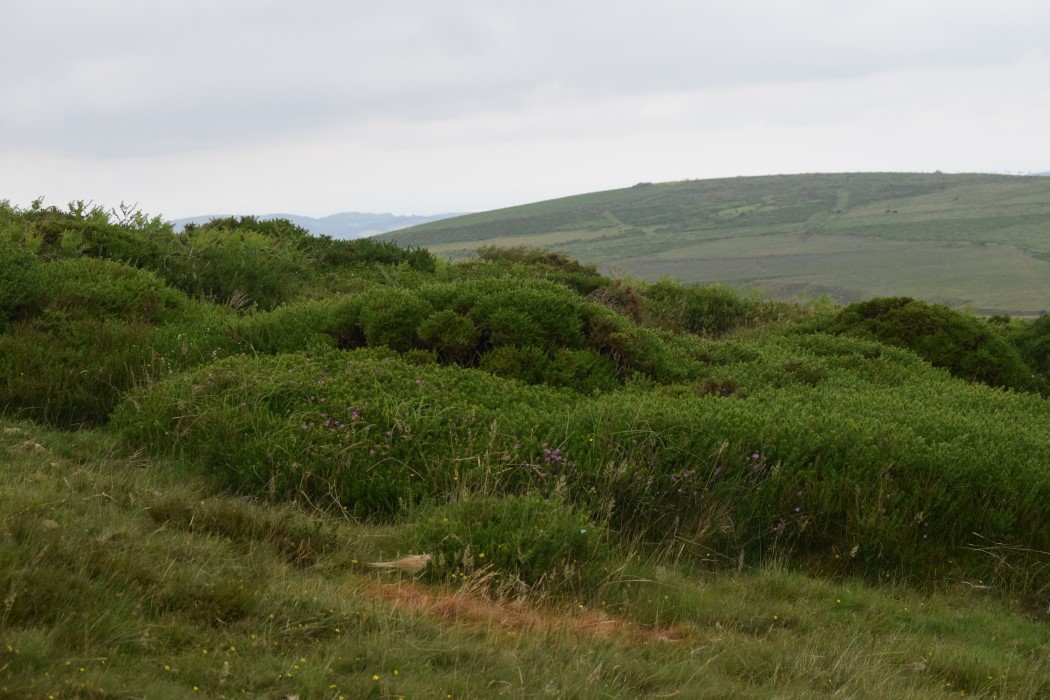 DSC_2042.jpg