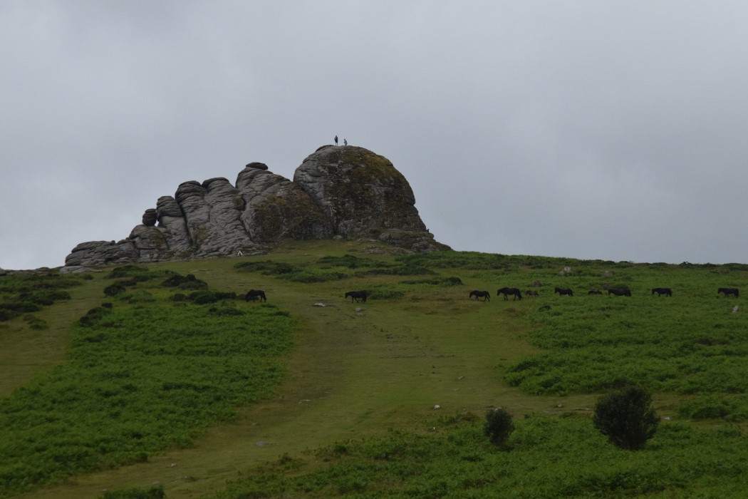 DSC_2063.jpg