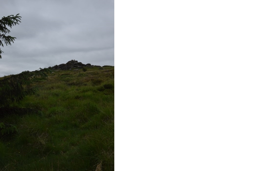 DSC_2092.jpg