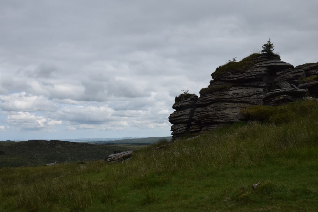 DSC_2093.jpg