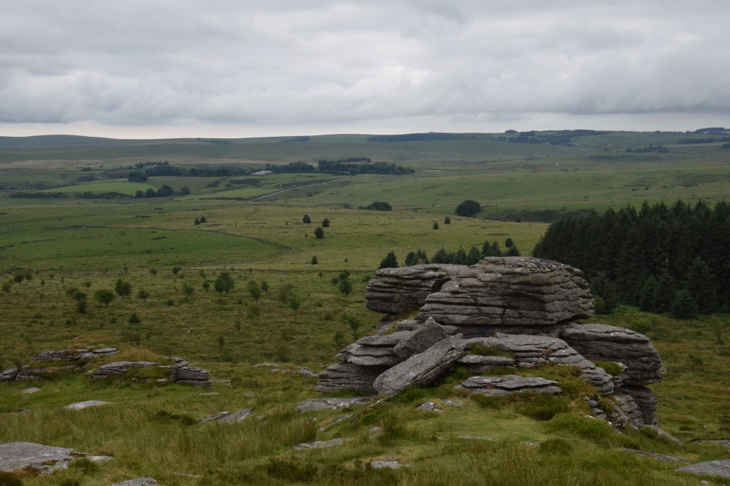 DSC_2095.jpg