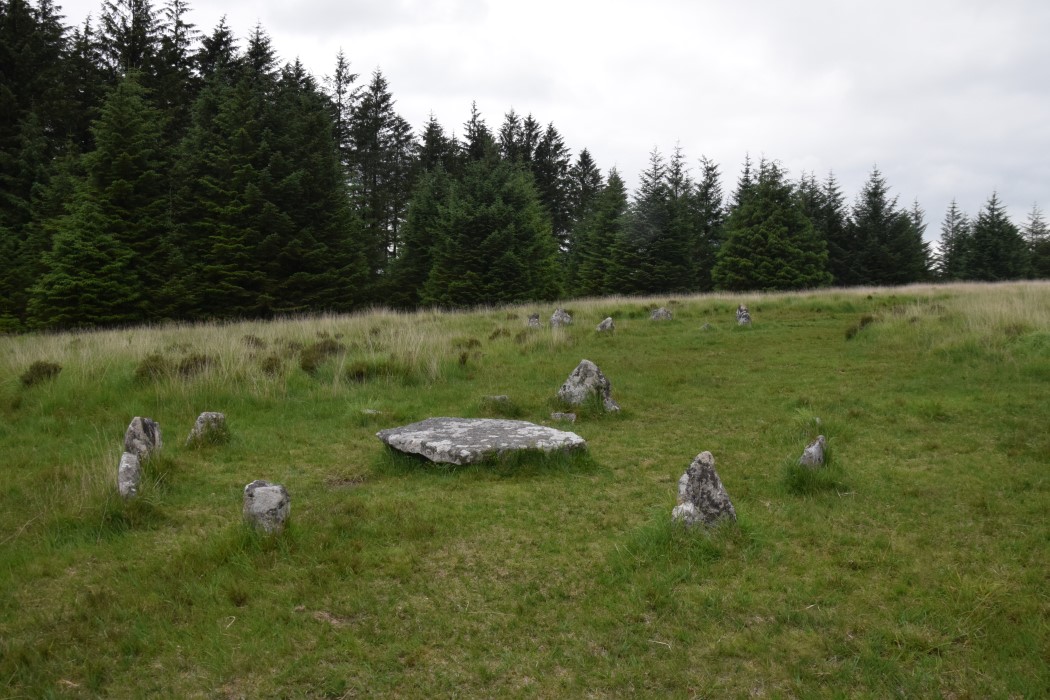 DSC_2098.jpg
