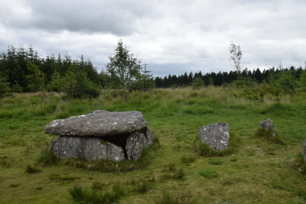 DSC_2101.jpg