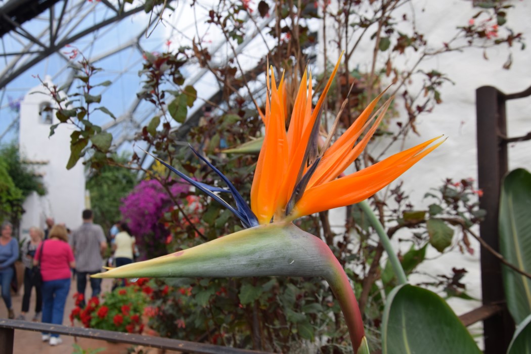 DSC_0180.jpg