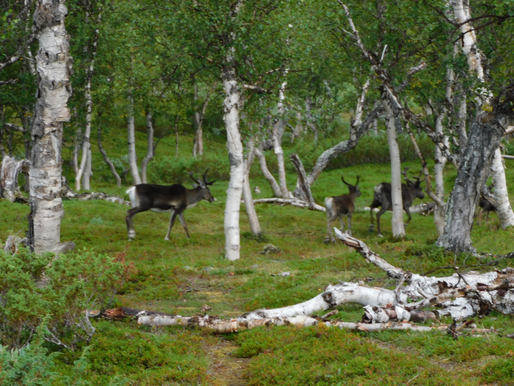 DSCN0045.jpg