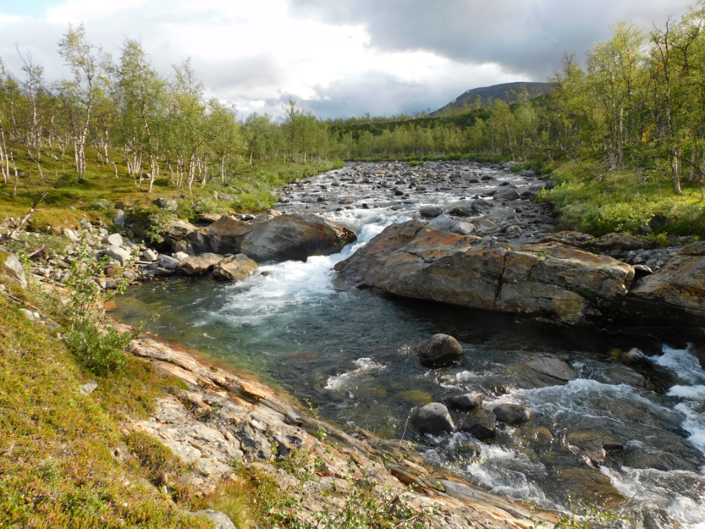 DSCN0122.jpg