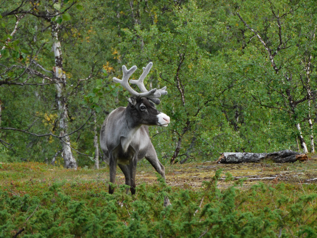 DSCN0137.jpg