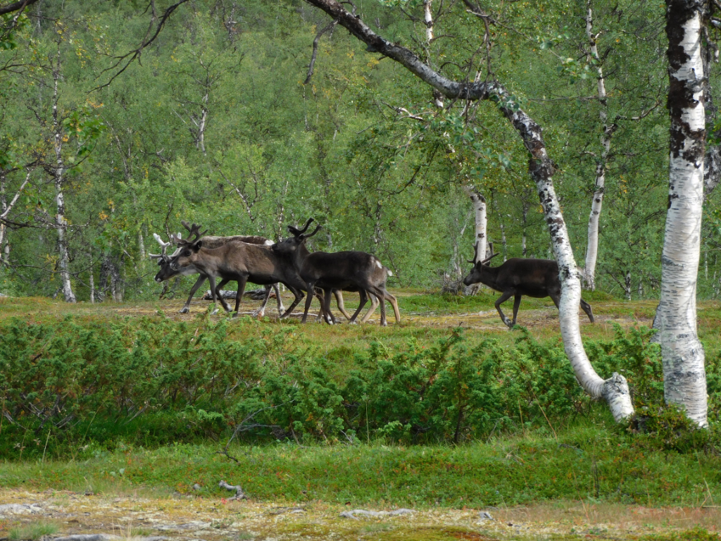 DSCN0139.jpg