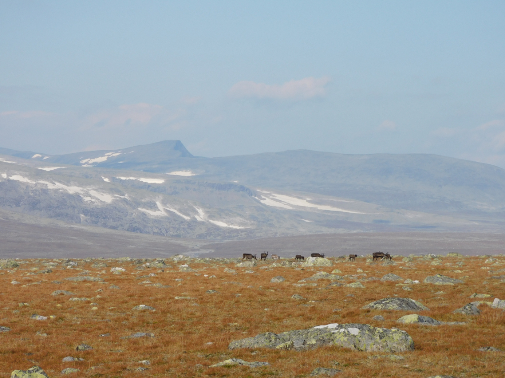 DSCN0202.jpg
