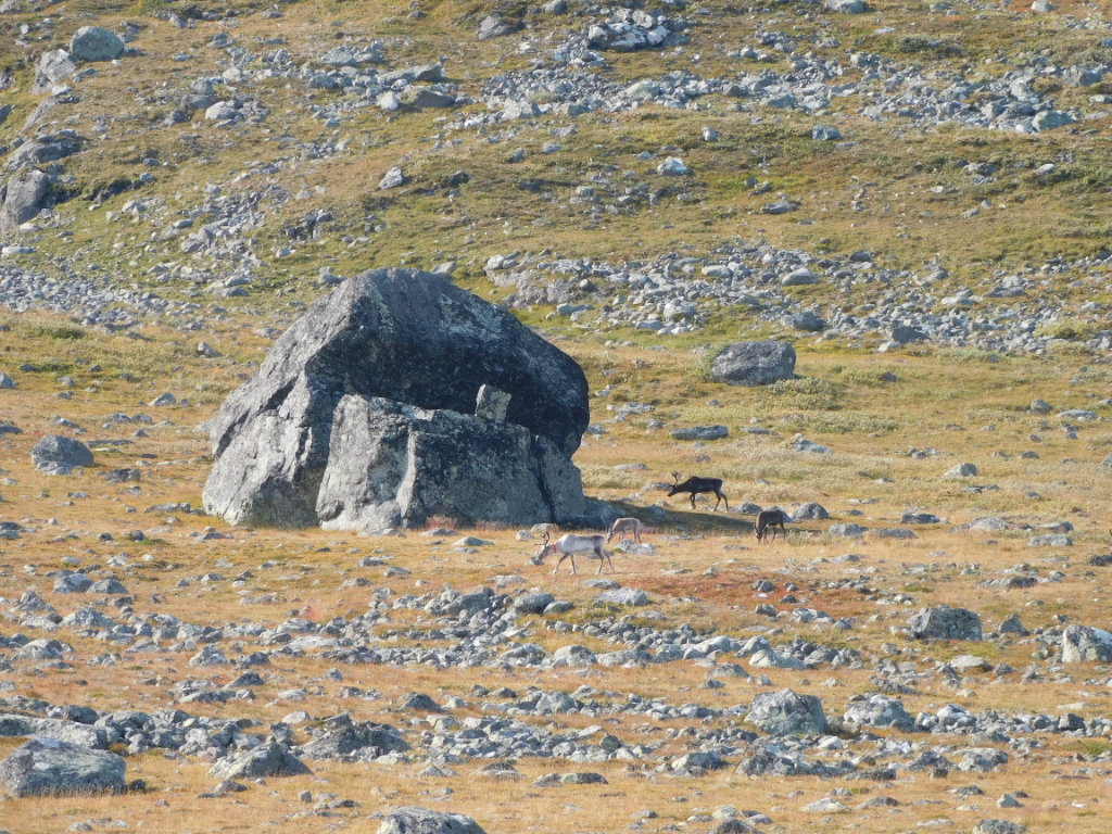 DSCN0207.jpg